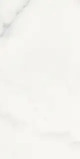 Origines De Rex Blanc Matte 30x60