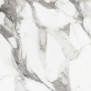 Origines De Rex Argent Glossy 60x60