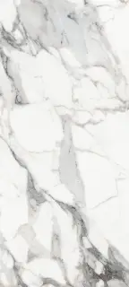 Origines De Rex Argent Glossy 80x180