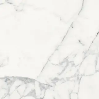 Origines De Rex Blanc Glossy 60x60