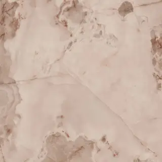 Reves De Rex Rose Matte 6mm 120x120