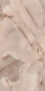 Reves De Rex Rose Glossy 60x120
