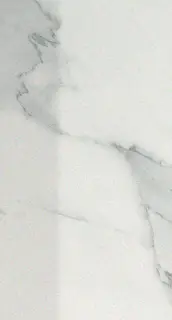 Roma Statuario Alzata 17.5x25