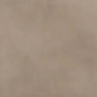Milano Mood Biscotto Matt 80x80