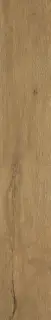Roots Gold Matt 20x120