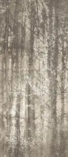 Ylico Wood Fog 120x278