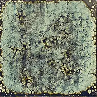 Artigiano Marine 20x20