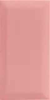 Bissel Pink 10x20
