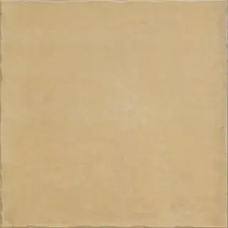 Barcelona Nostalgy Honey 20x20