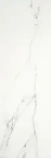 Duomo Blanco Brillo 33.3x90