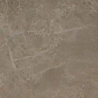 Force Grey 60x60