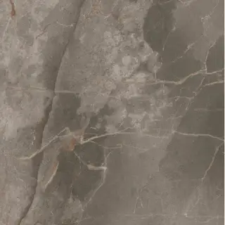 Allure Grey Beauty 60x60