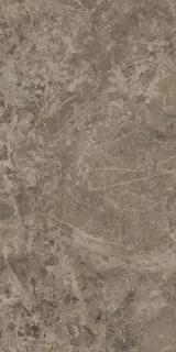 Victory Taupe 60x120
