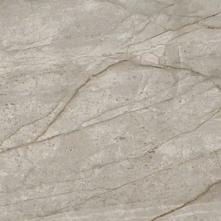 Empire Silver Root 60x60