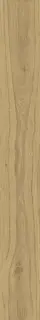 Rive Acqua Riva 20x160