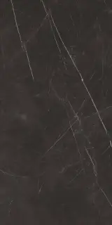Forte Dei Marmi Elegant Black Honed Satin 60x120
