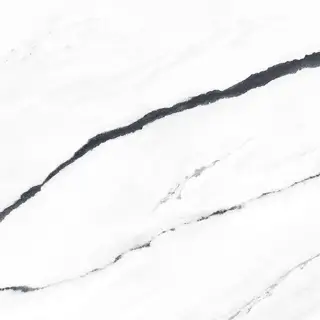 Forte Dei Marmi Panda White Polished 80x80