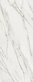 Calacata Gold 120x300