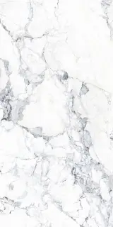 Marbles Breccia Bianca 60x120