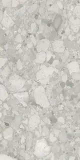 Softceppo Серый Матовый R10a 60x120