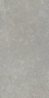 Sandstone Серый Матовый R10a 60x120