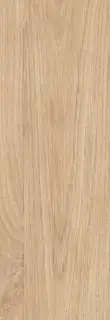 Calacatta Oro Wood 24.2x70