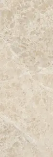 Emperador Beige Brillo 24.2x70
