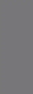 Foresta Silver 24.2x70