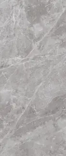 Belgium Grey Polished 120x280