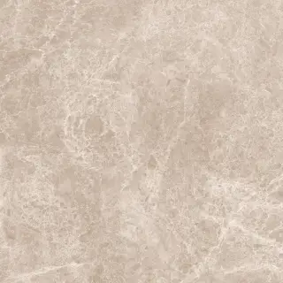 Emperador Taupe Polished 120x120