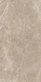 Frappuchino Taupe Polished 80x160