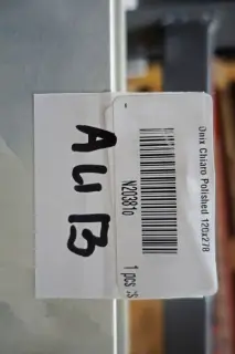 Onix Chiaro Polished 120x278