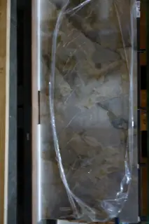 Onix Chiaro Polished 120x278