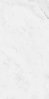 Carrara Antique Satin 60x120