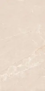 Persian Beige Matt 60x120