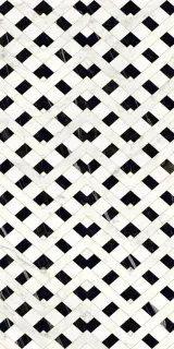 Carrara Giola Decor Polished 60x120