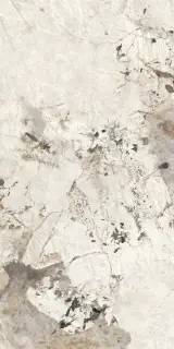 Patagonia Polished 80x160