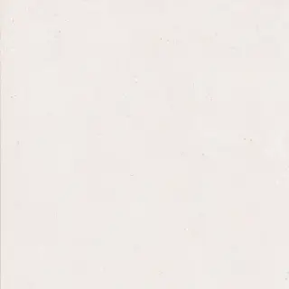 Bottega Blanco Matt 120x120