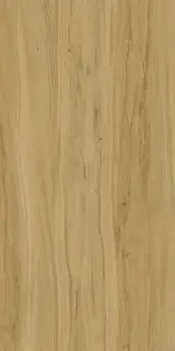 Alleya Brown Str. 60x120