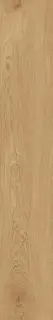 Dubrava Honey Str. 20x120