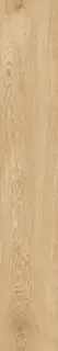 Dubrava Beige Str. 20x120