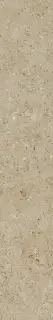 Beren Biscuit B.Hammed 10x60