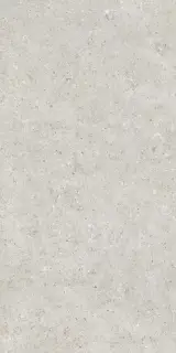 Beren Light Grey Ductile Soft 60x120