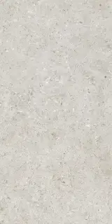 Beren Light Grey Natural 60x120