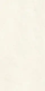Bera White Lane Ductile 60x120