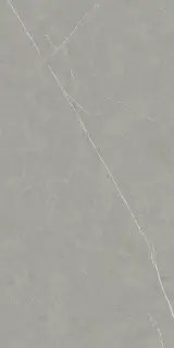 Allure Grey Ductile 60x120