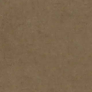 Cuit Terra Soft 120x120