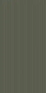 Nuer Moss 60x120
