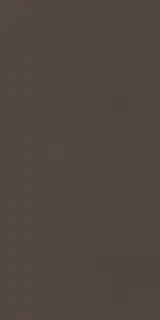 Cava Brown 30x60