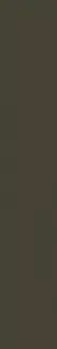 Cava Green 10x60